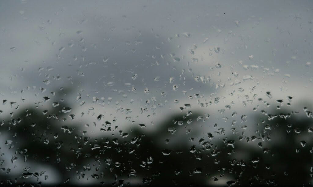 david-b-SfrmNNm5930-unsplash (2)